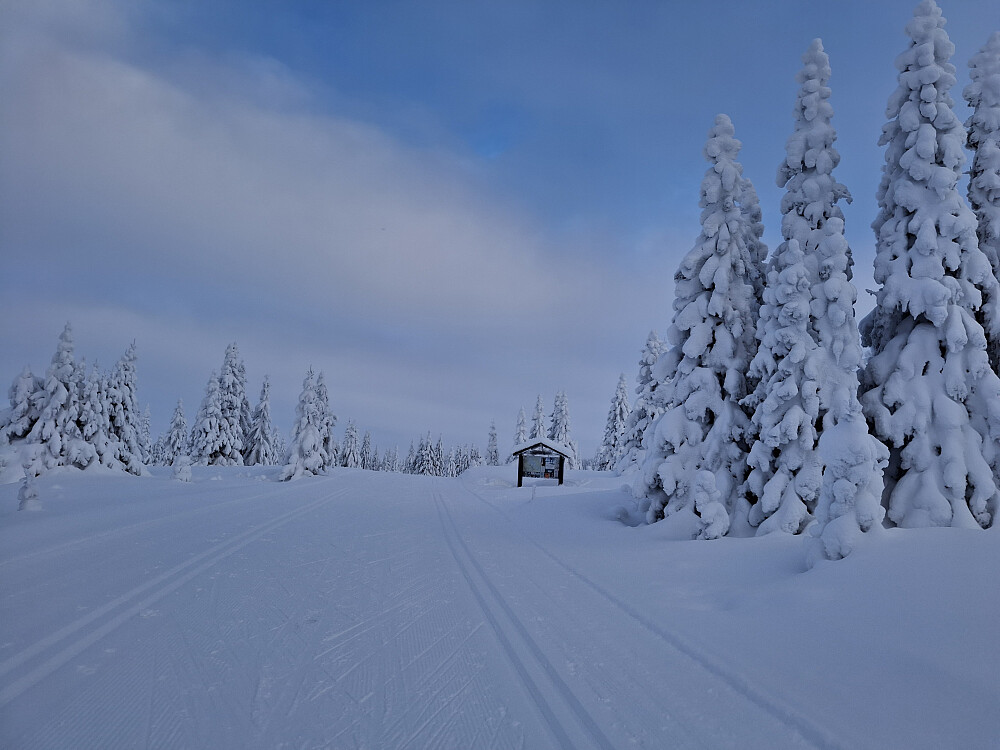 Kommet opp bakkene på Nordseter, blå himmel!