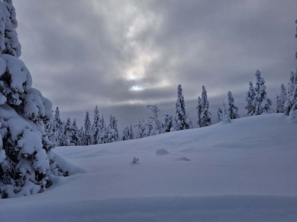 Glimt av sol på Nevelosvegen