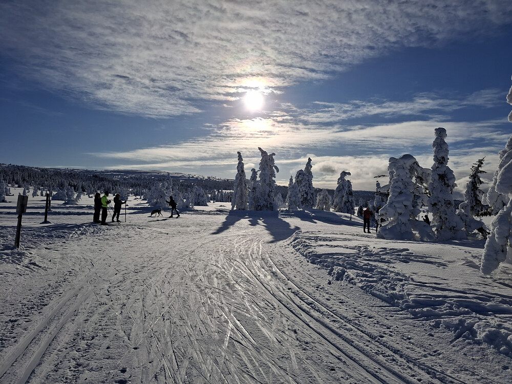 Ved løypekrysset Fjellelva
