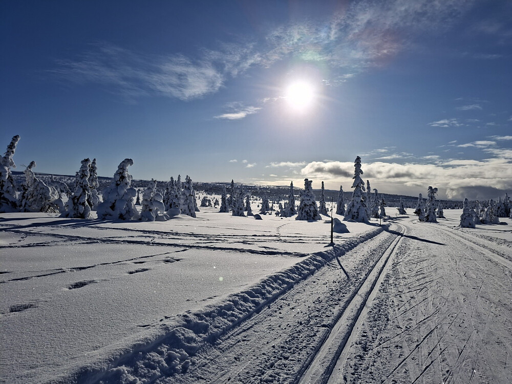 Fra Kuåsen sør, mot Mostefjell og Sollifjell