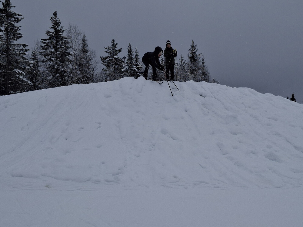 Så på skikjøring på stadion
