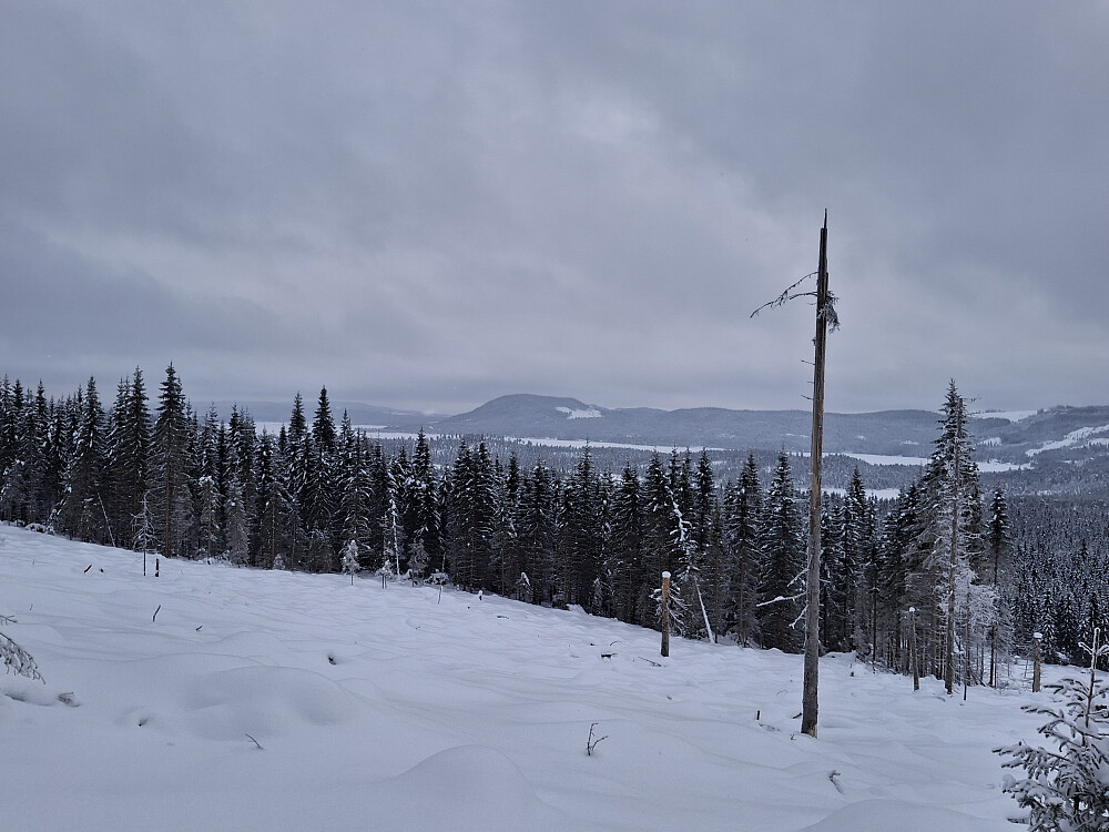 Fra Sjøsæterlia, mot Nord-Mesna