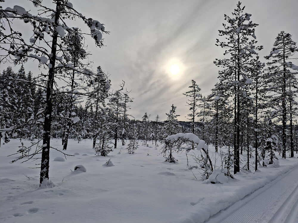 I Ingalåmi mellom Mesnasaga og Sagmyra
