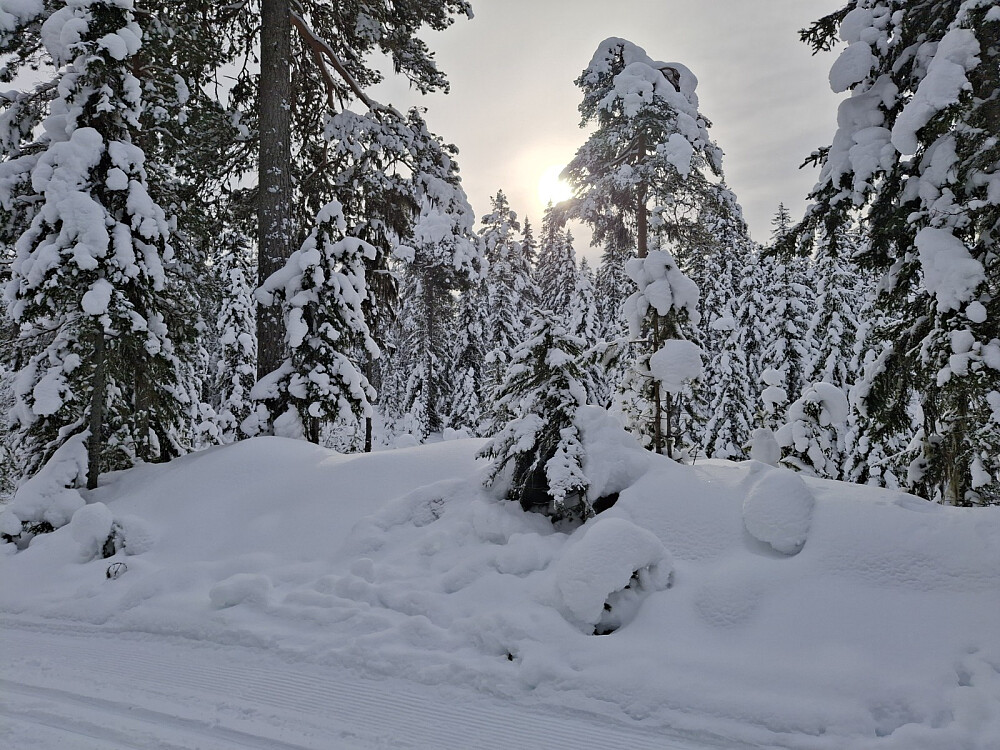 På Ingalåmi høgeste punkt, klar for å ake ned til Sagmyra