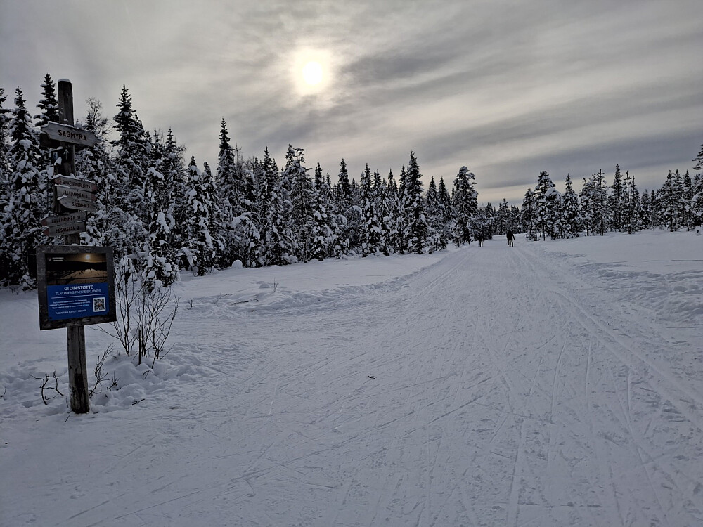 På løypekrysset Sagmyra