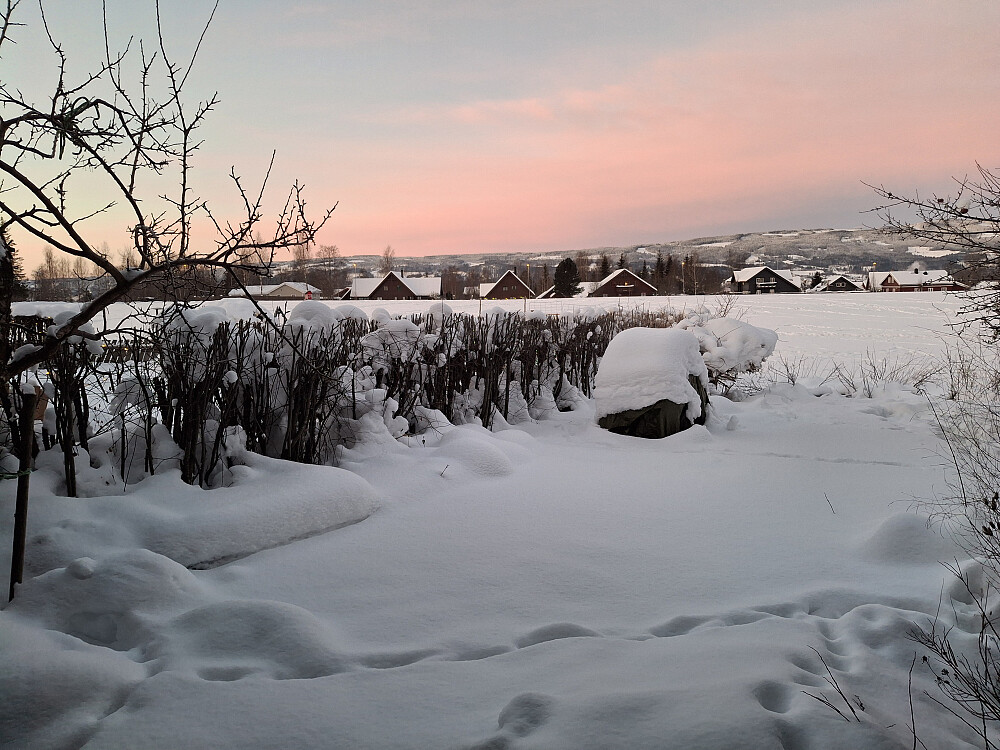 Morgenstemning i Blestervegen