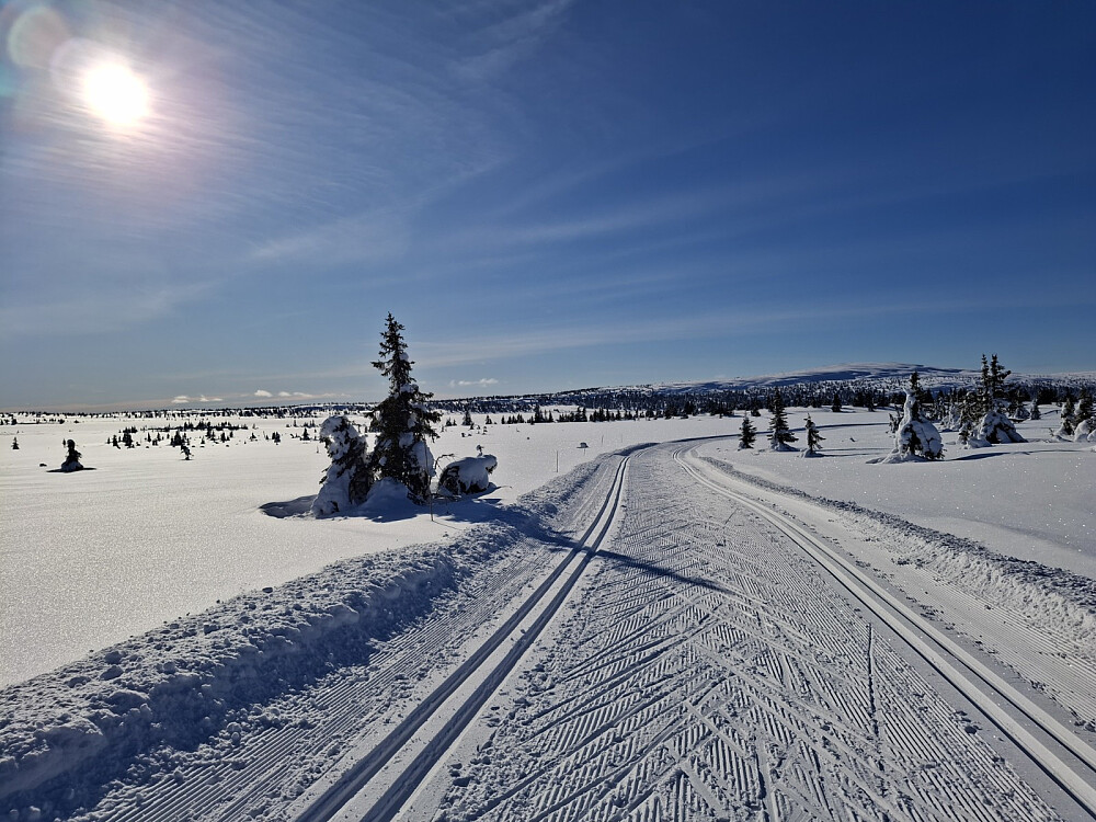 Fra løypa mot Kriksvika, mot Nevelfjell