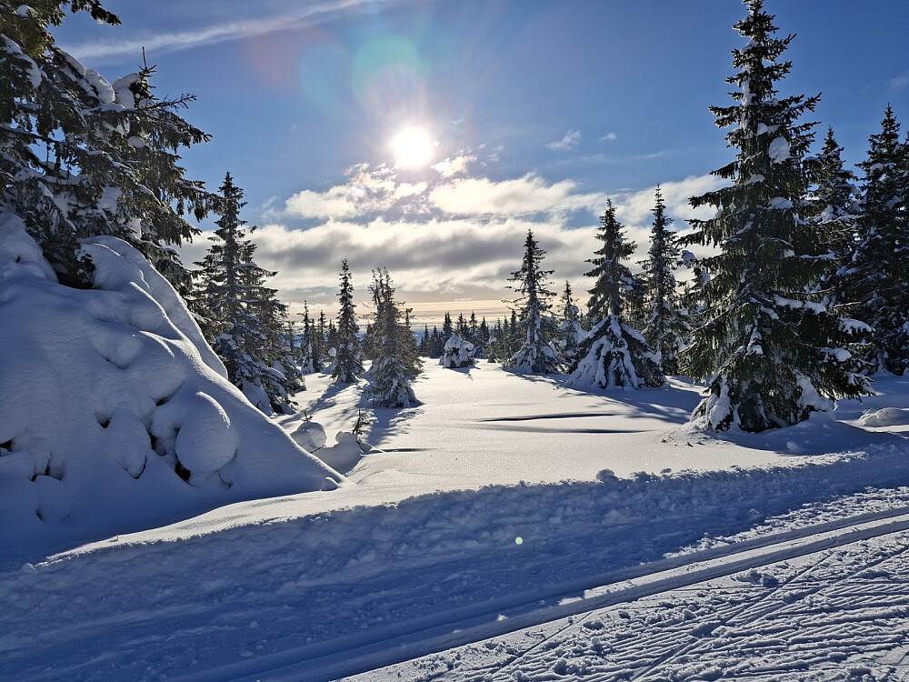 I løypa mot Neveloset