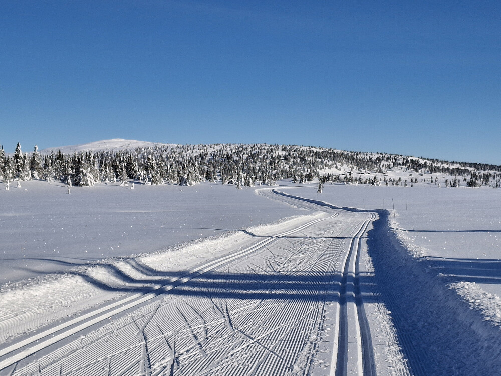 Fra løypa mot Kriksvika, mot Kriksfjell og Indre Reina