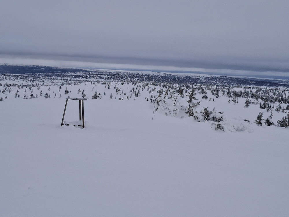 På Sjusjøfjellet øst