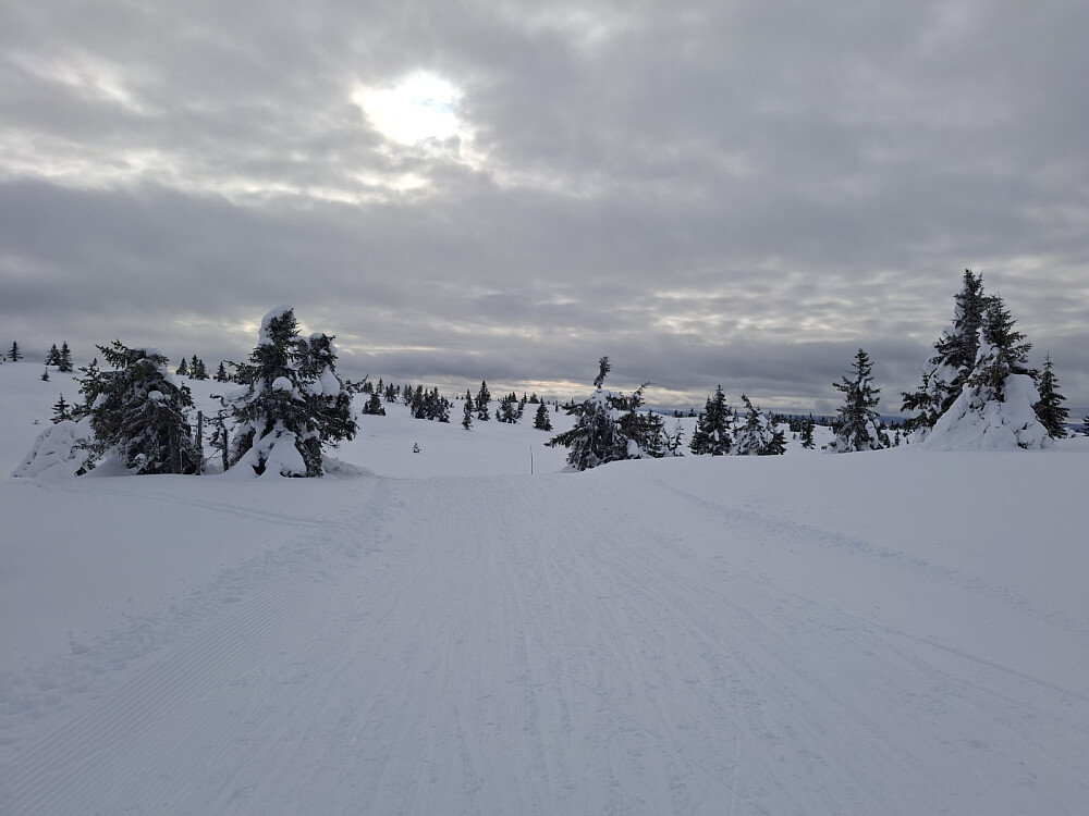 Ved løypekrysset Lunkevann