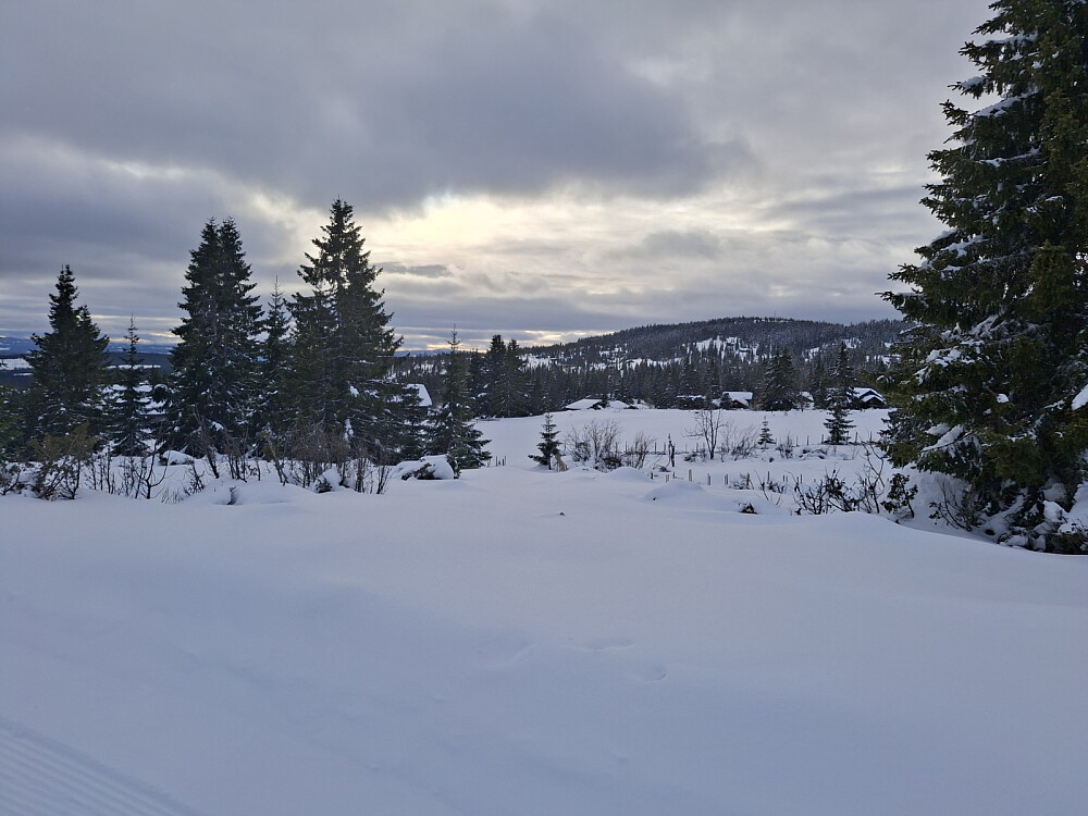 Tilbake på Nordseter