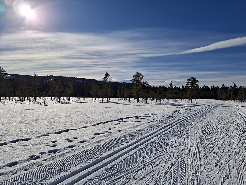 På myrene mot Mesnasaga