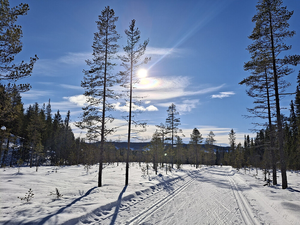 I løypa mellom Mesnasaga og Sagmyra
