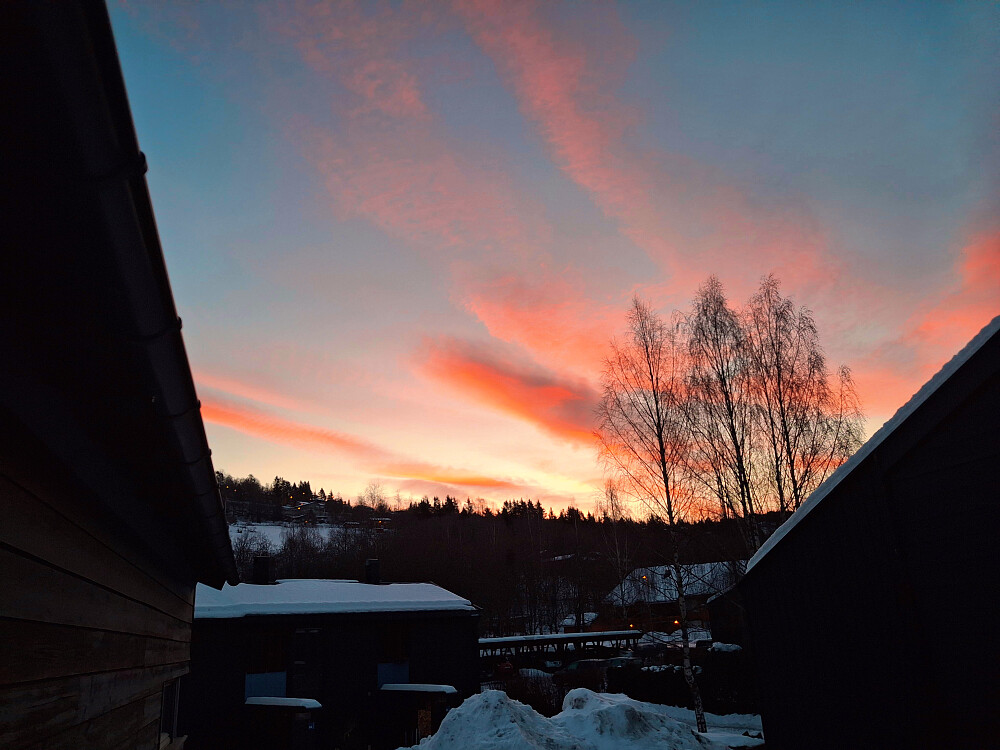 Morgen i Blestervegen