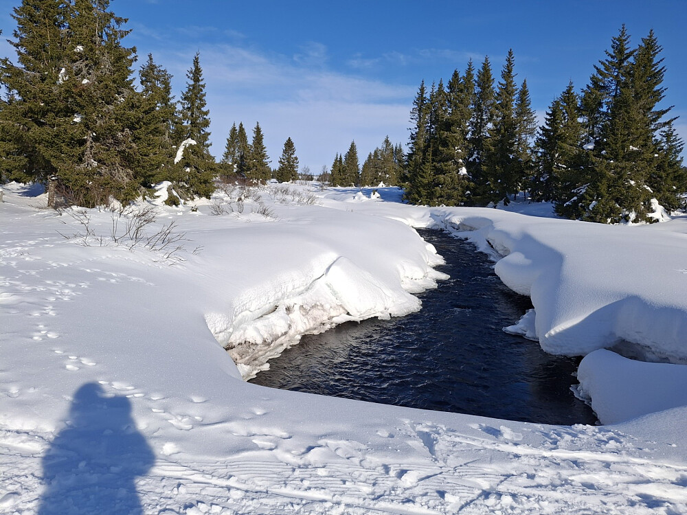 På bru over Fjellelva