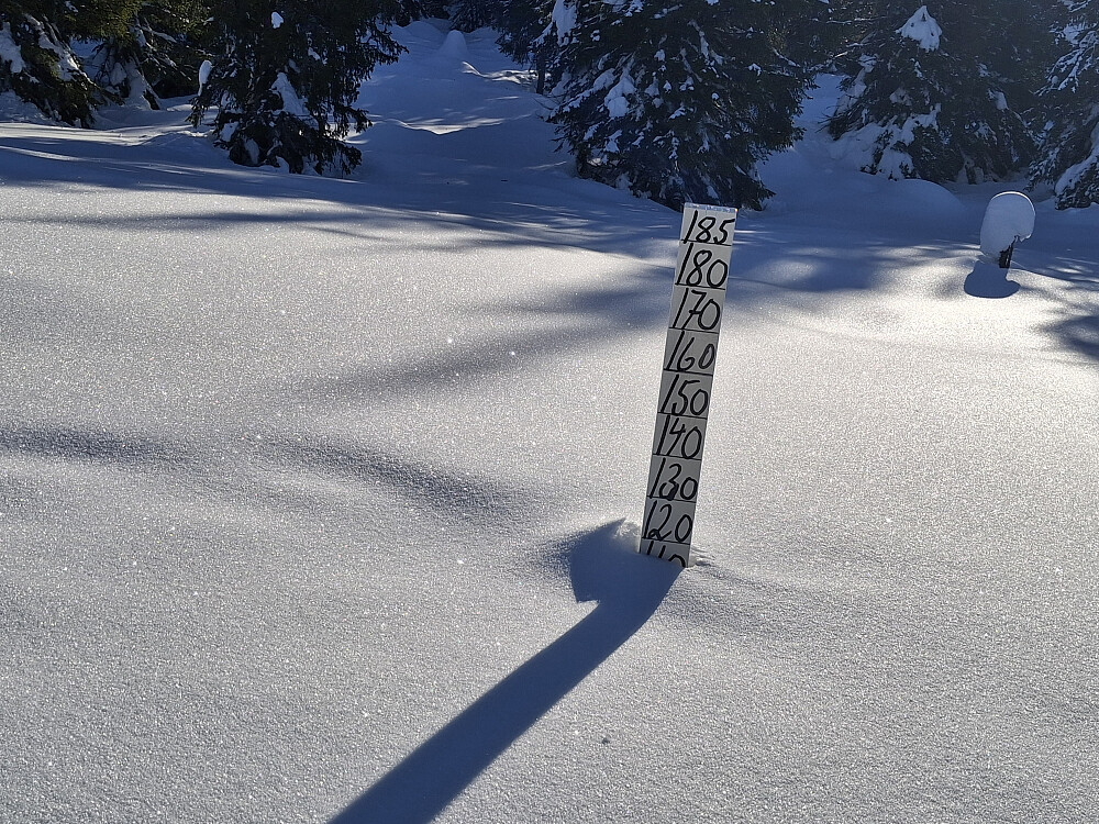 Mye snø på Sjusjøen