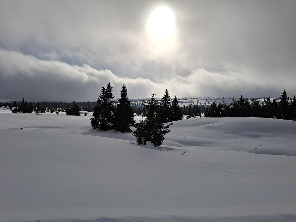 Tåka letter, kommet over Ukstjønnbekken