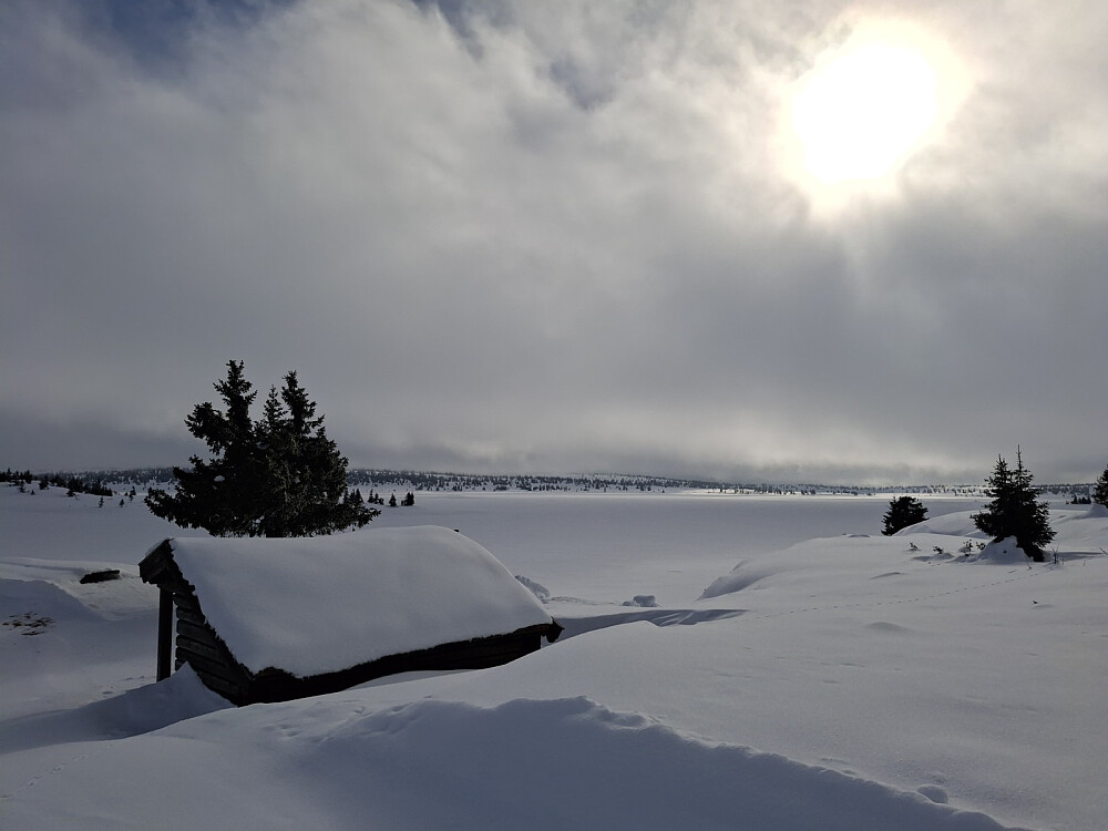 Ved Kriksvika gapahuk