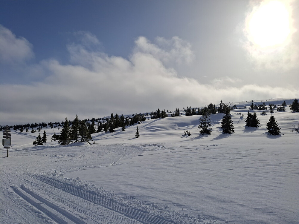 Ved løypekrysset i Hitdalen