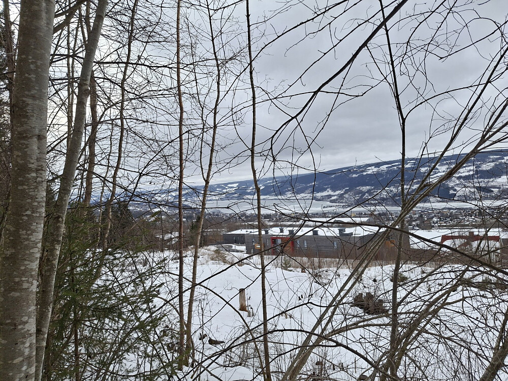 Fra råket på øversida av Ersgård