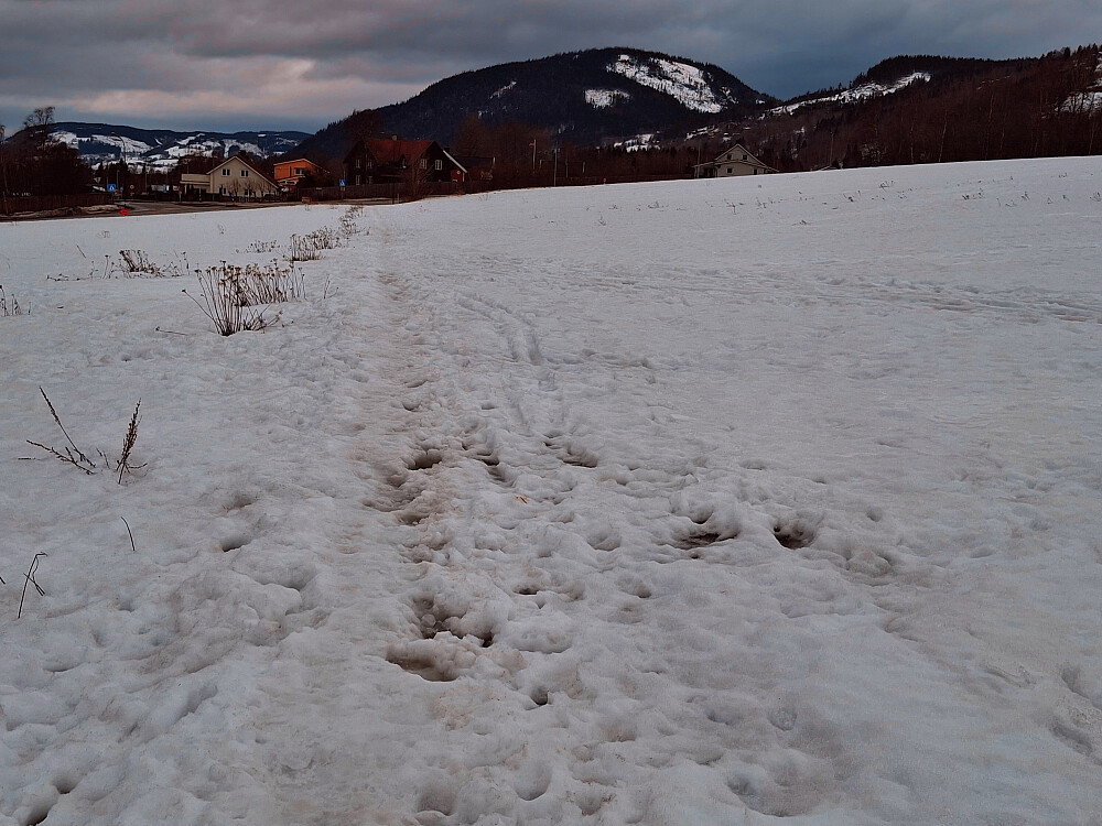 Råket på Randgårdsjordet
