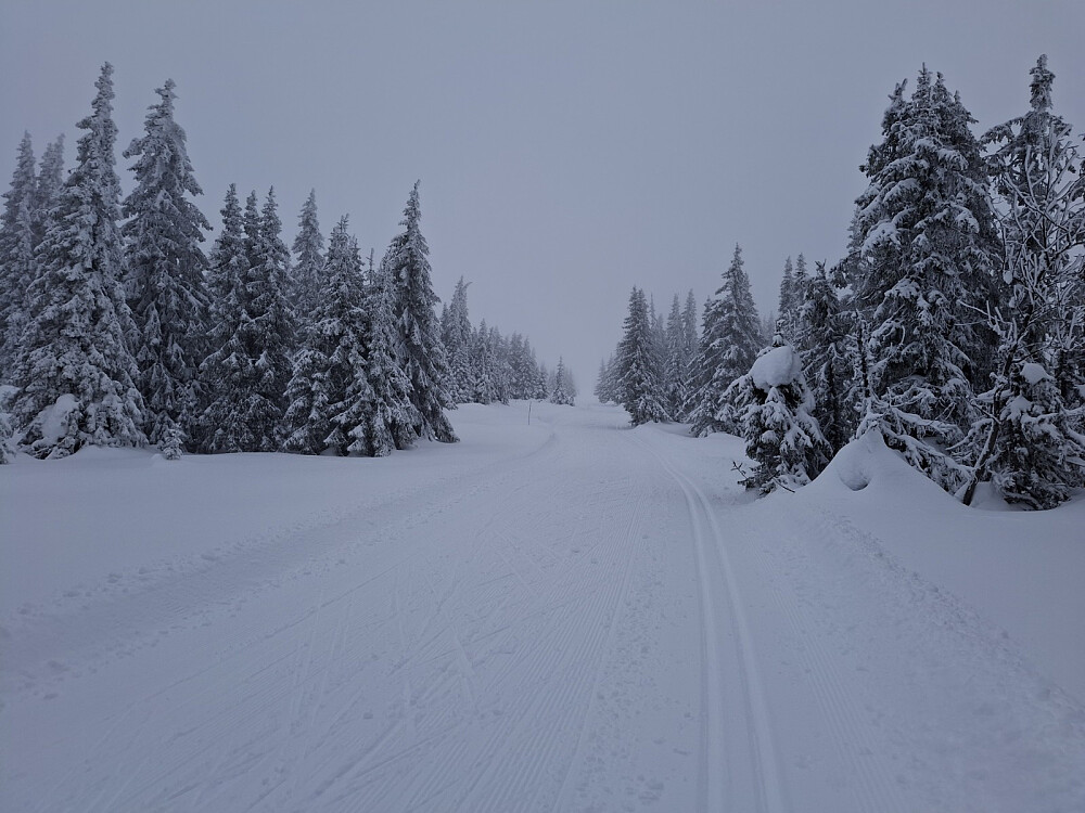 Oppover mot løypekrysset Nordseterjellet