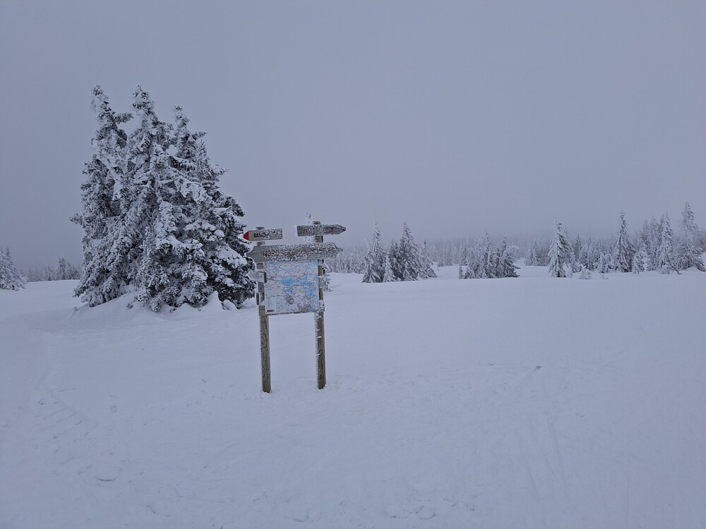 Ved løypekrysset Nordseterjllet
