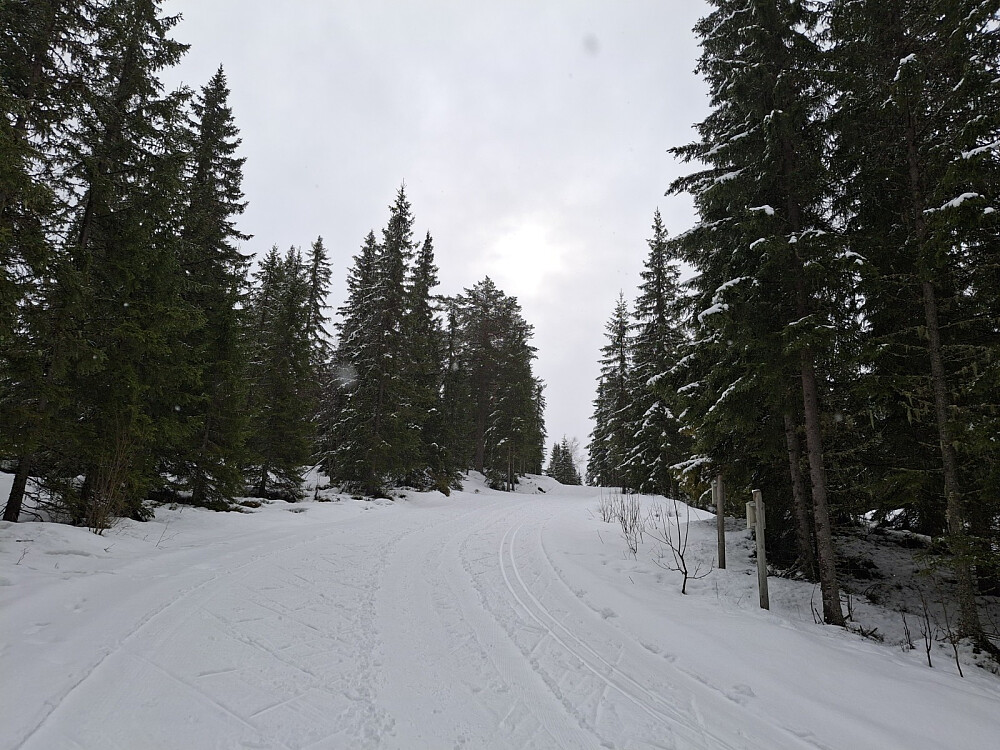 Oppover mot Kanthaugen