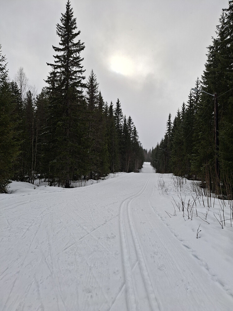 I lysløypa på tilbaketuren