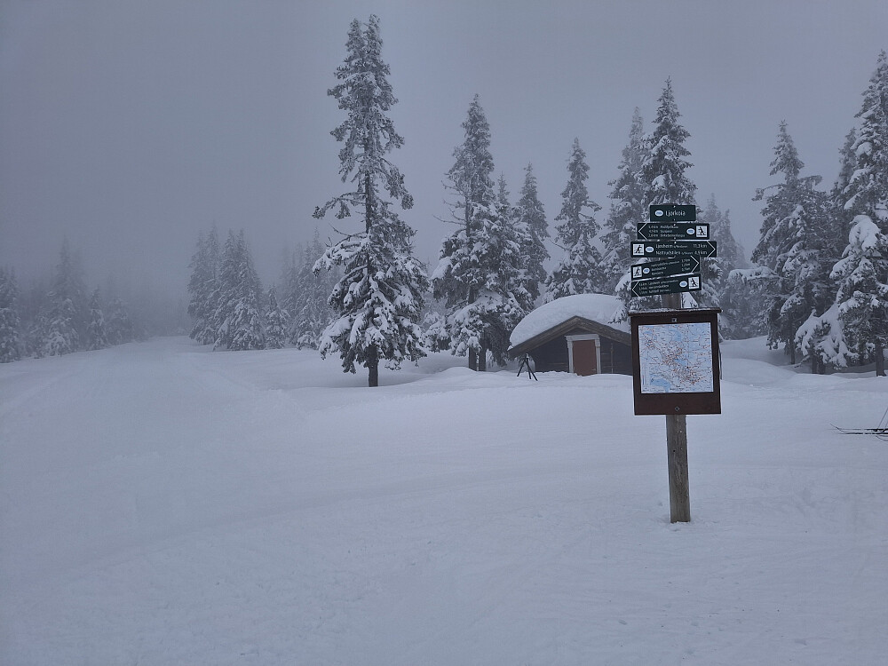 På løypekrysset ved Ljørkoia