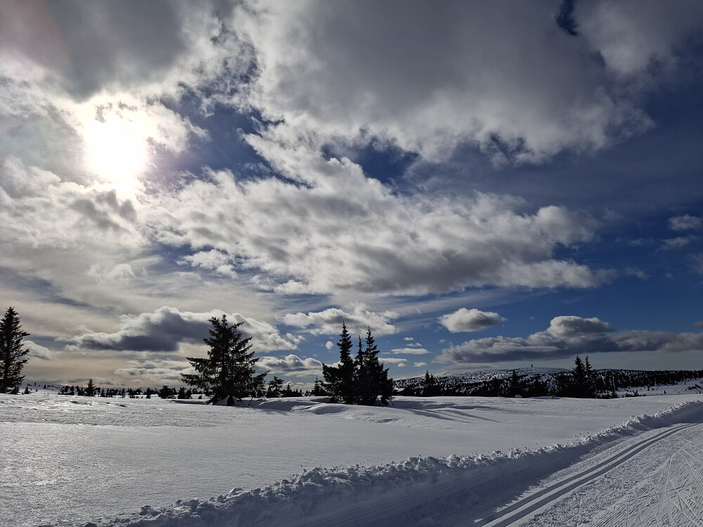 I Hitdalen, ser mot Hafjell
