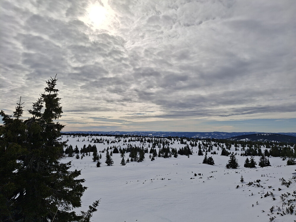 I løypa ved Løvisåsen