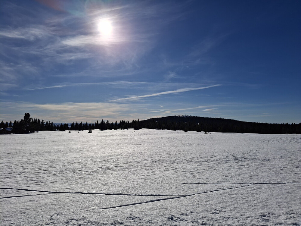 På Nordseter, mot Grøtåshaugen