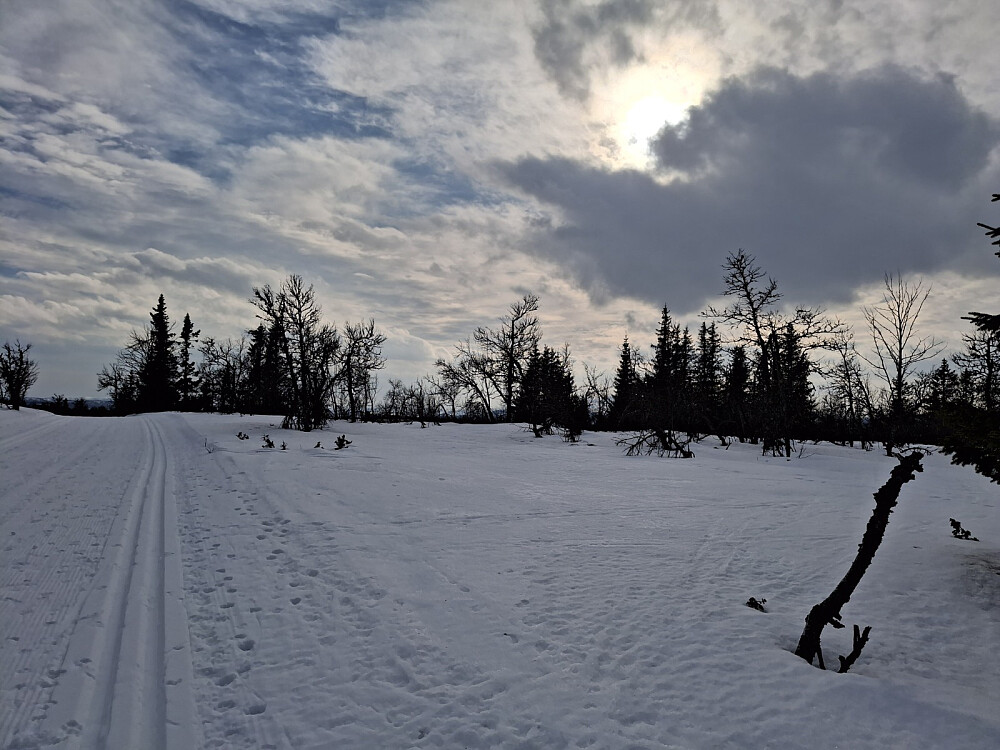 I løypa nær gapahuken