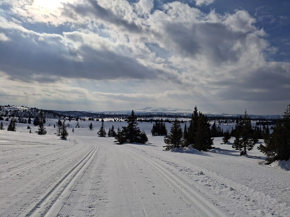 På veg ned fra Hærfjellet
