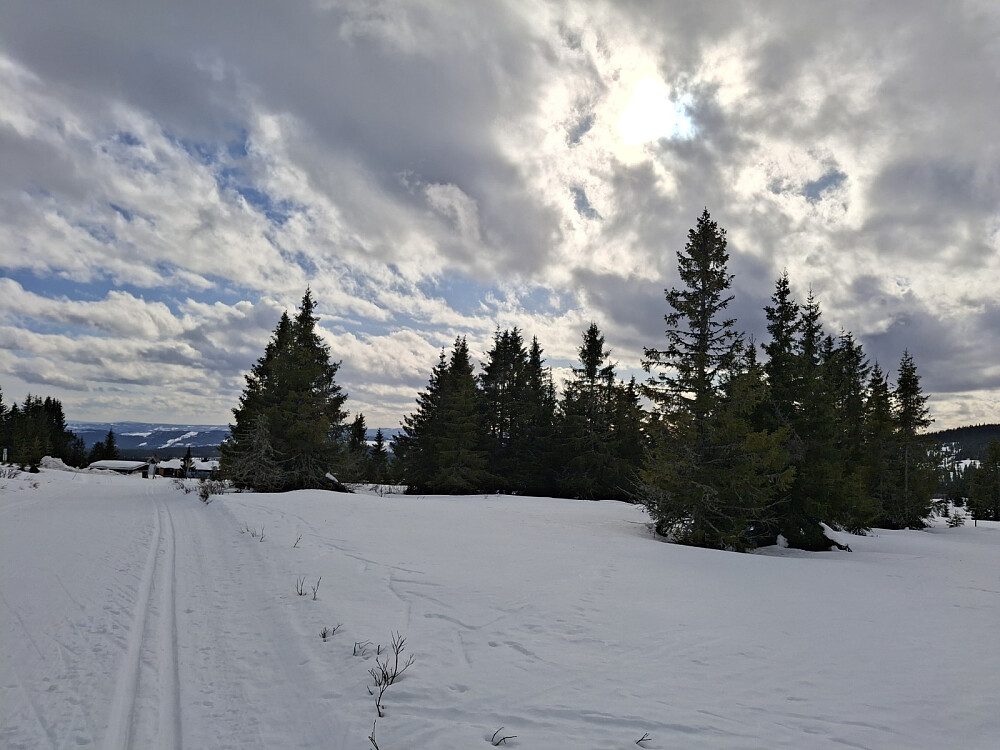 Tilbake på Nordseter