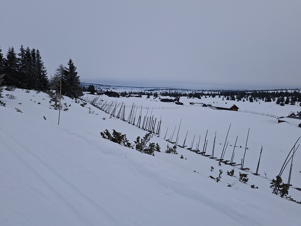 Litt lettere ved Nysetra