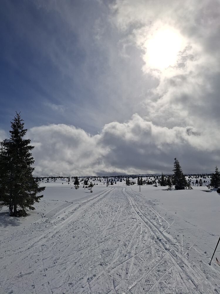 Ved løypekrysset Melsjøen