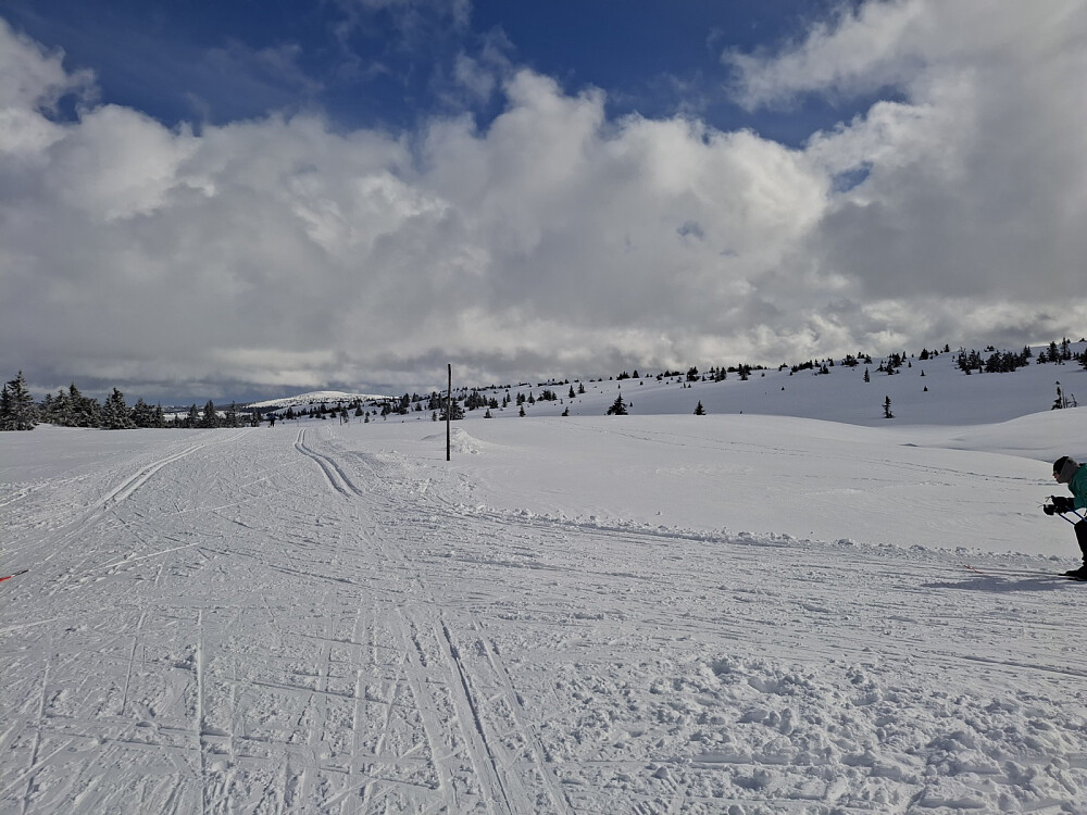 Tok opp mot Lunkefjell her
