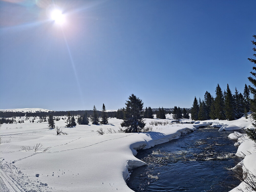 Ved bru over Fjellelva