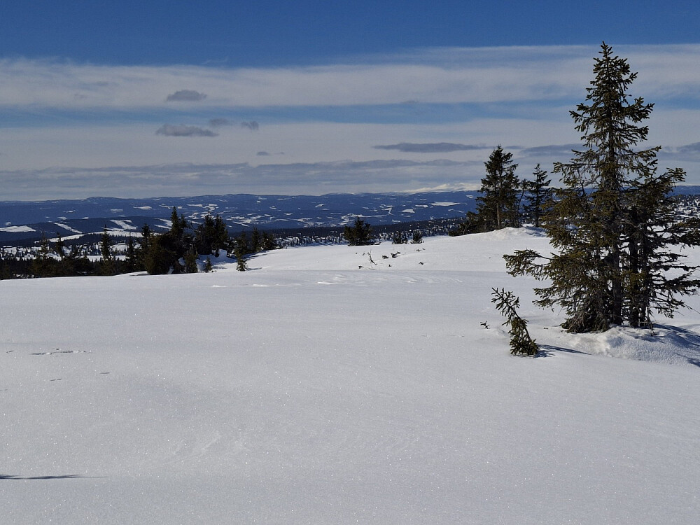 På ny «topp», Gulrandtjernhaugen, ser mot Synnfjell