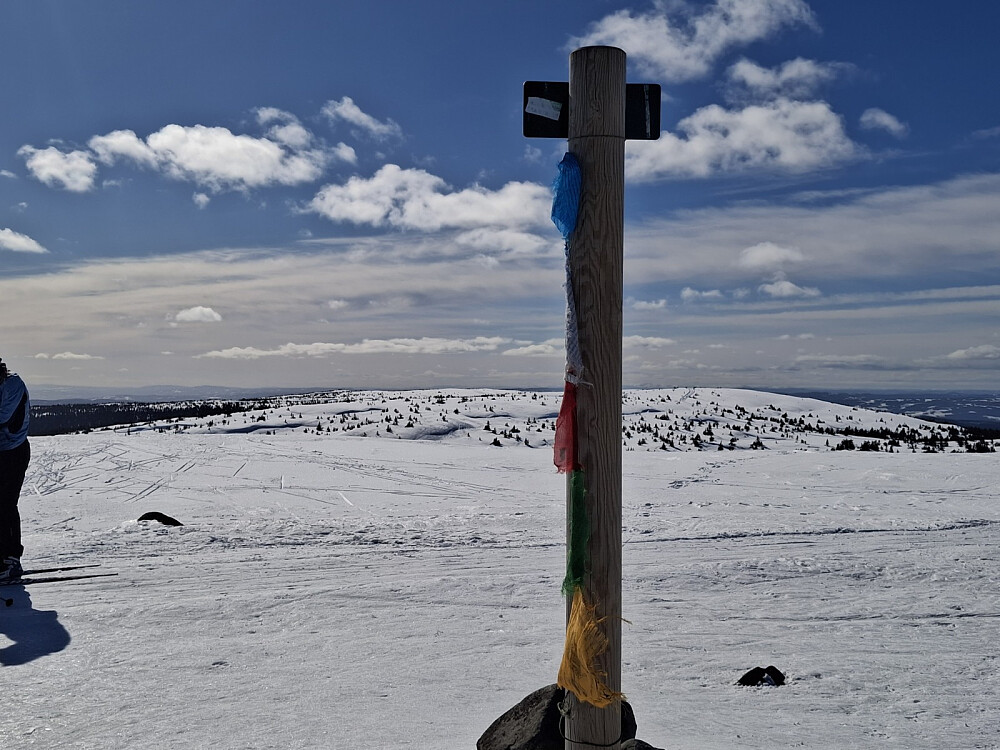 På Snørvillen, ser tilbake på Mostfjellet