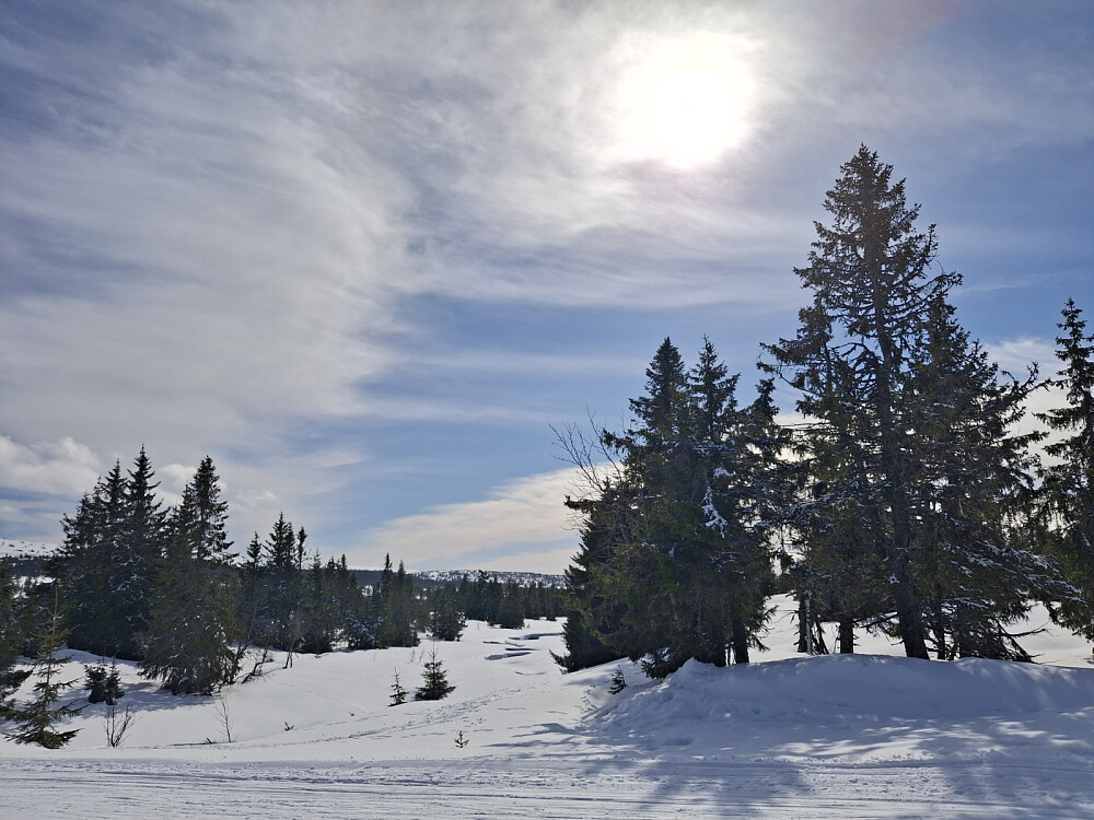 Ved brua over Fjellelva