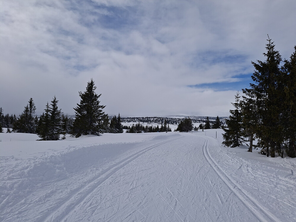Løypa ved Gjesboåsen
