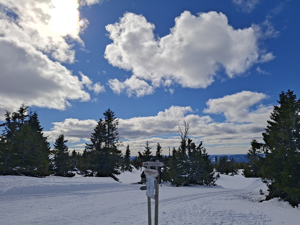 Ved løypekrysset Nordseterfjellet