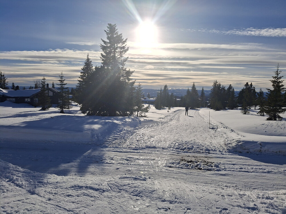 Oppover til Skogsløypa