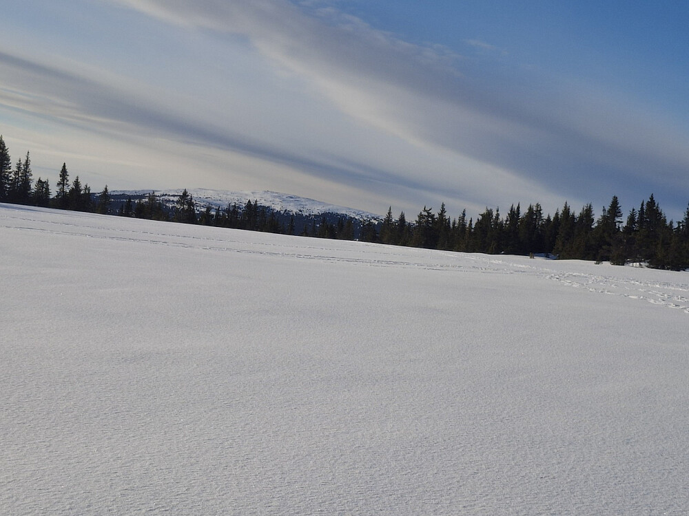 Fra Skogsløypa, mot Nevelfjell