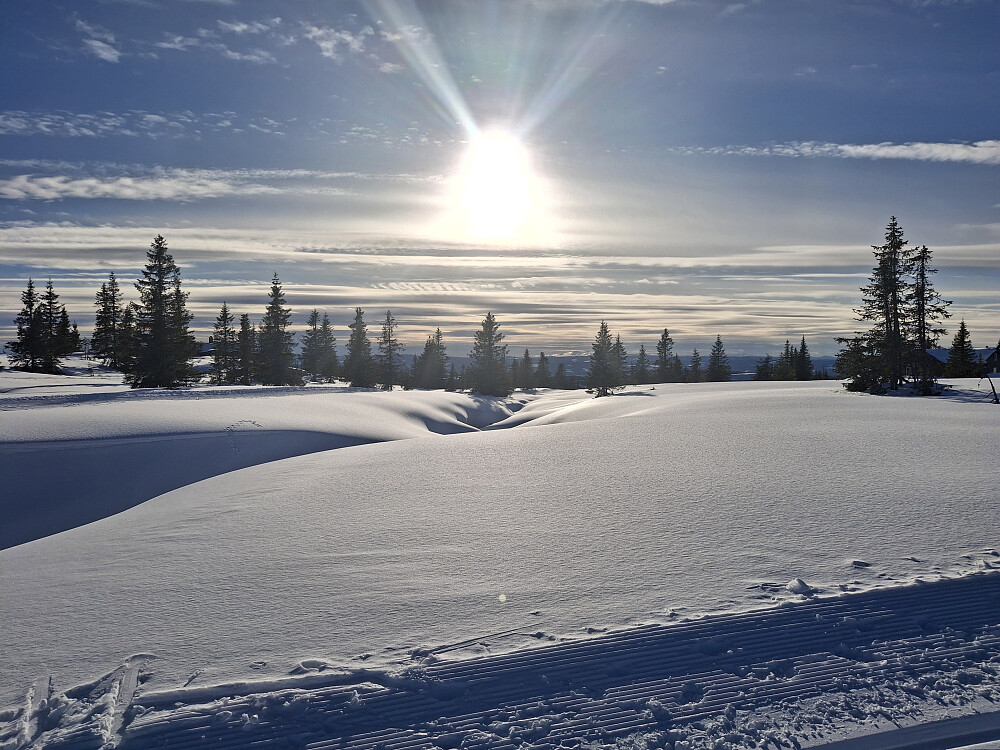 Kommet opp på Skogsløypa