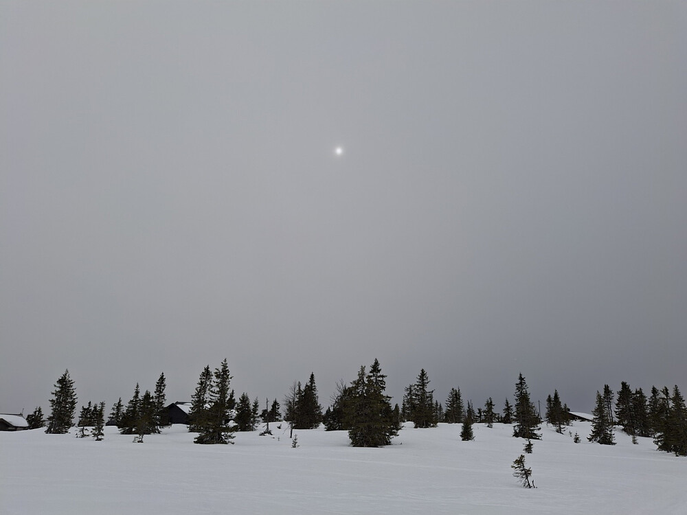 Glimt av sol på Heståsmyra